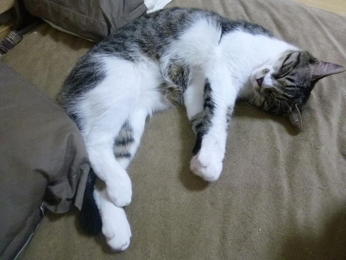 开云体育在线赛事直播-《电竞游戏平衡性调整：影响比赛格局的关键因素》，游戏 平衡