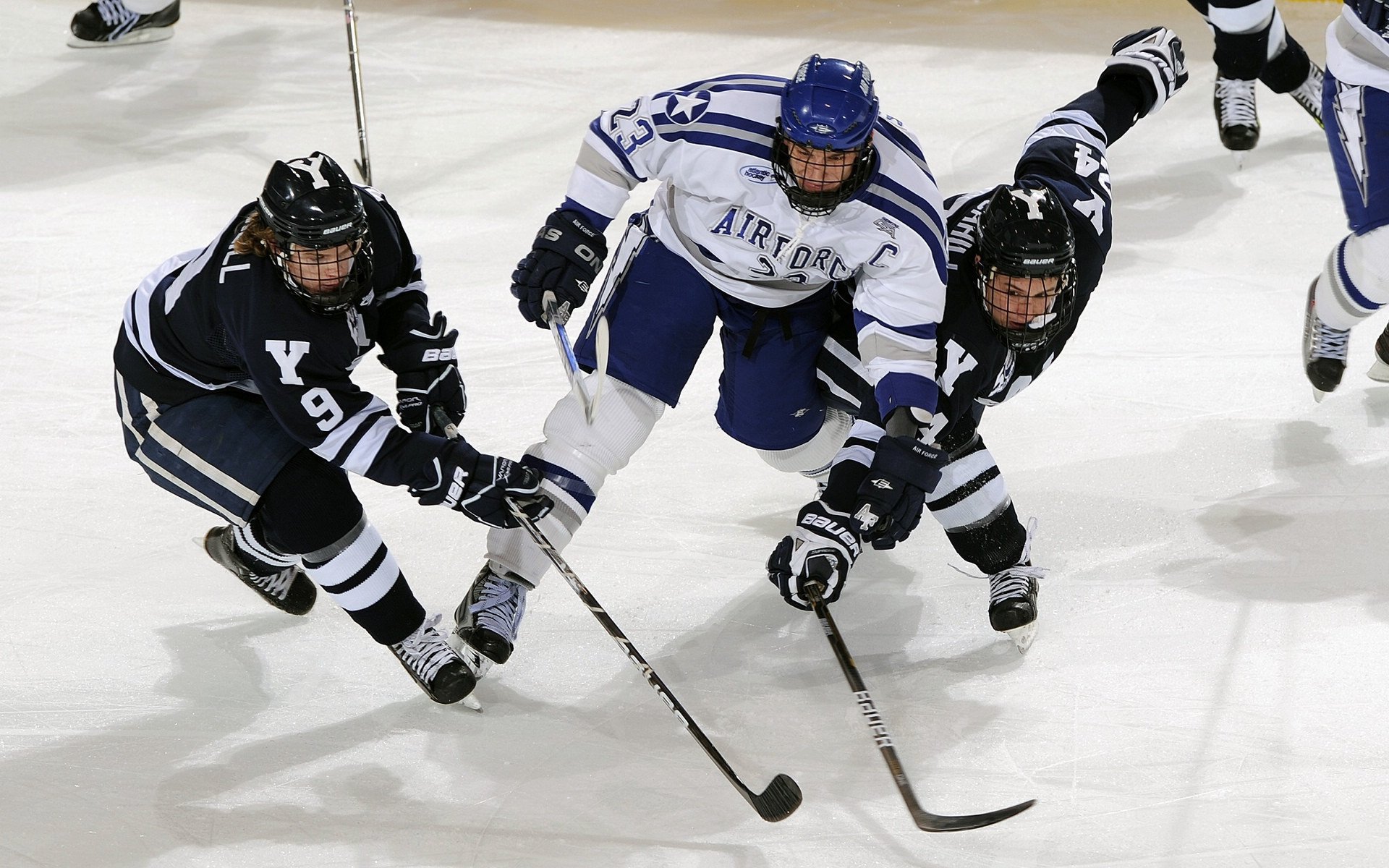 开云体育入口-田径队员专项康复训练系统启动，田径康复训练方法